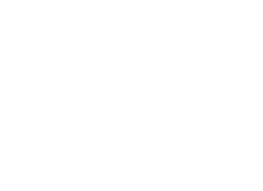 HiPoint Logo White PNG